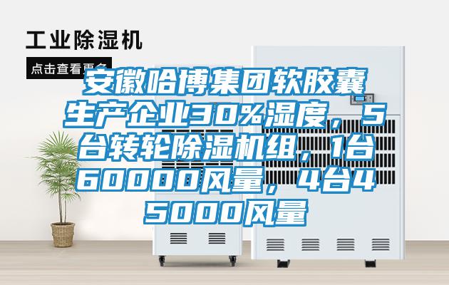 安徽哈博集團軟膠囊生產企業30%濕度，5臺轉輪除濕機組，1臺60000風量，4臺45000風量