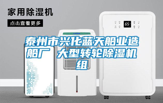 泰州市興化藍天船業造船廠 大型轉輪除濕機組