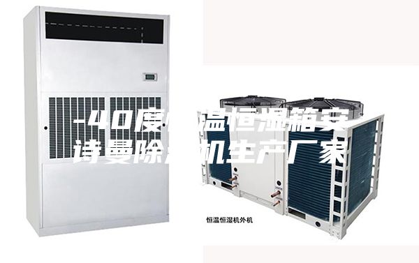 -40度恒溫恒濕箱安詩曼除濕機生產廠家