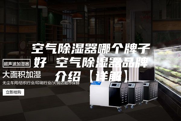 空氣除濕器哪個牌子好 空氣除濕器品牌介紹【詳解】