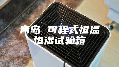 青島 可程式恒溫恒濕試驗(yàn)箱