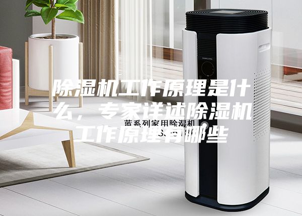 除濕機工作原理是什么，專家詳述除濕機工作原理有哪些