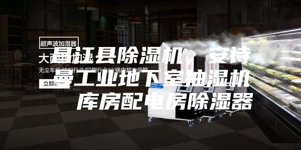 昌江縣除濕機，安詩曼工業(yè)地下室抽濕機  庫房配電房除濕器