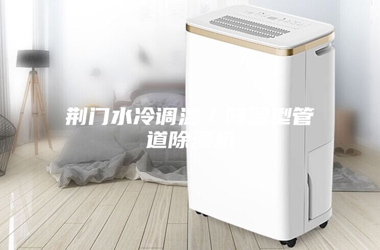 荊門水冷調溫／降溫型管道除濕機