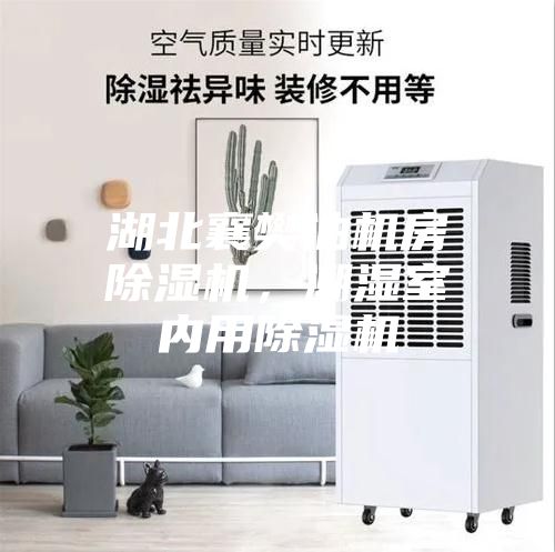 湖北襄樊油機房除濕機，潮濕室內用除濕機