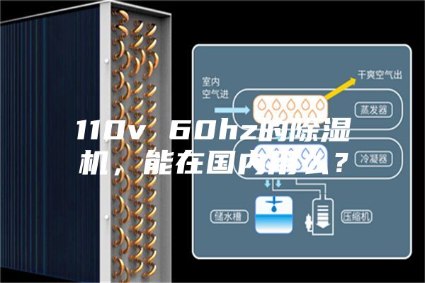 110v 60hz的除濕機(jī)，能在國(guó)內(nèi)用么？