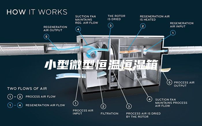 小型微型恒溫恒濕箱