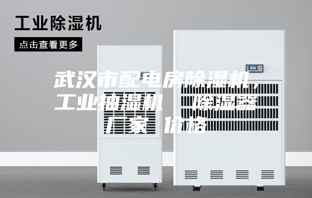 武漢市配電房除濕機，工業(yè)抽濕機  除濕器廠家 價格