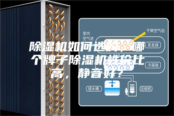 除濕機如何選購，哪個牌子除濕機性價比高，靜音好？