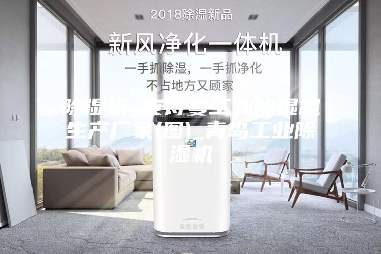 除濕機_安詩曼工業(yè)除濕機生產(chǎn)廠家(圖)_青島工業(yè)除濕機