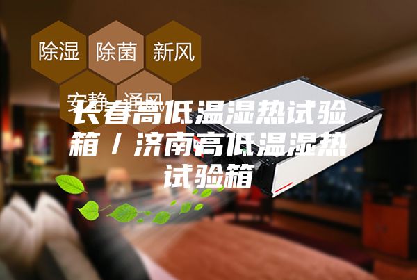 長春高低溫濕熱試驗箱／濟南高低溫濕熱試驗箱