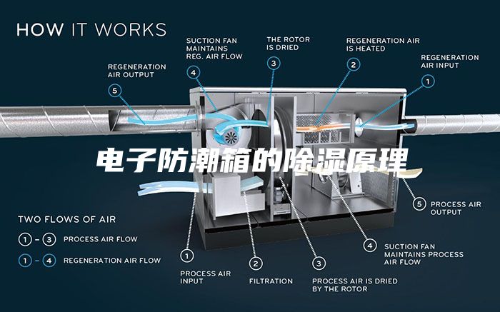 電子防潮箱的除濕原理