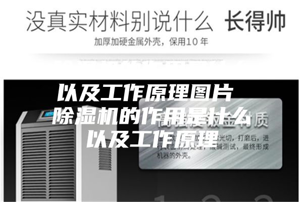 除濕機的作用是什么以及工作原理圖片 除濕機的作用是什么以及工作原理