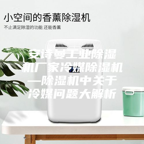 安詩曼工業(yè)除濕機廠家冷媒除濕機—除濕機中關(guān)于冷媒問題大解析