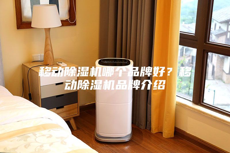 移動除濕機哪個品牌好？移動除濕機品牌介紹