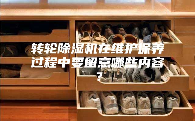 轉輪除濕機在維護保養過程中要留意哪些內容？