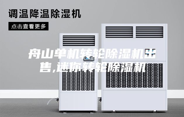 舟山單機轉輪除濕機出售,迷你轉輪除濕機