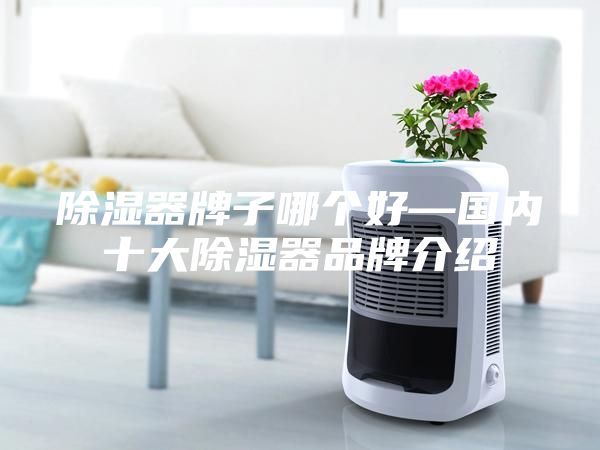 除濕器牌子哪個好—國內十大除濕器品牌介紹