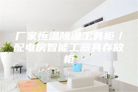 廠家恒溫除濕工具柜／配電房智能工器具存放柜