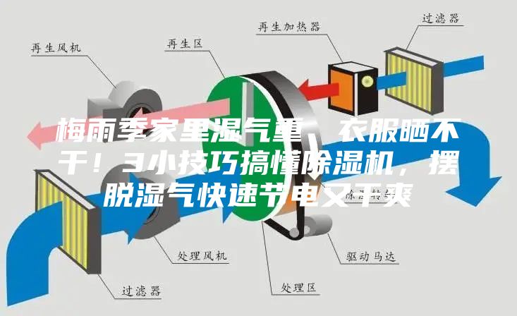 梅雨季家里濕氣重、衣服曬不干！3小技巧搞懂除濕機，擺脫濕氣快速節電又干爽