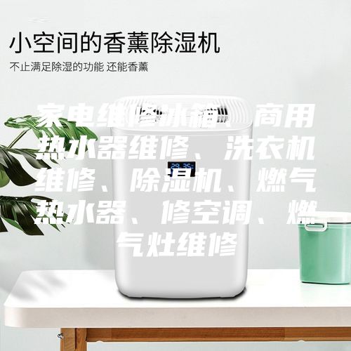 家電維修冰箱、商用熱水器維修、洗衣機維修、除濕機、燃氣熱水器、修空調、燃氣灶維修