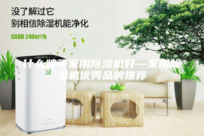 什么牌子家用除濕機好—家用除濕機優秀品牌推薦