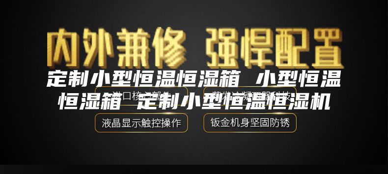 定制小型恒溫恒濕箱 小型恒溫恒濕箱 定制小型恒溫恒濕機