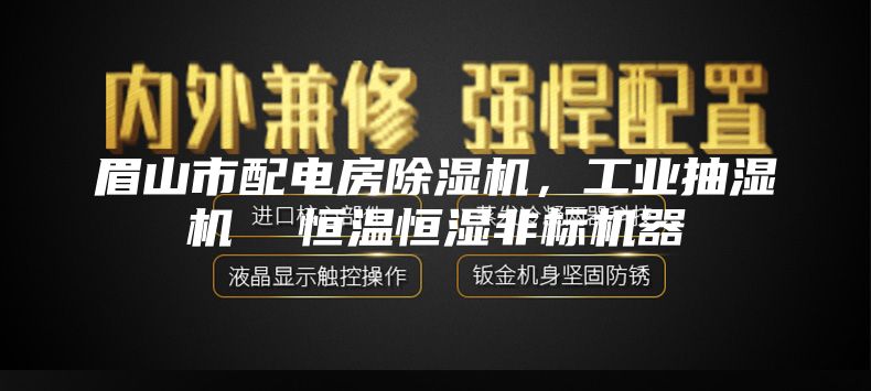 眉山市配電房除濕機，工業抽濕機  恒溫恒濕非標機器