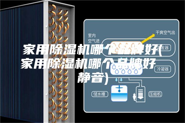 家用除濕機(jī)哪個(gè)品牌好(家用除濕機(jī)哪個(gè)品牌好 靜音)