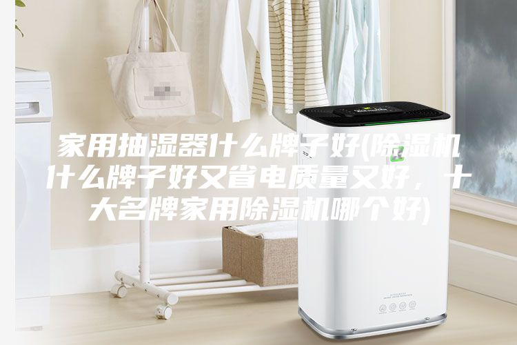 家用抽濕器什么牌子好(除濕機什么牌子好又省電質量又好，十大名牌家用除濕機哪個好)