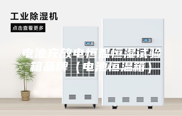 電池充放電恒溫恒濕試驗箱品牌（電池恒溫箱）