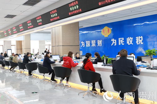 清鎮市政務服務新突破 九成以上事項全程網辦，實現零跑腿便捷服務