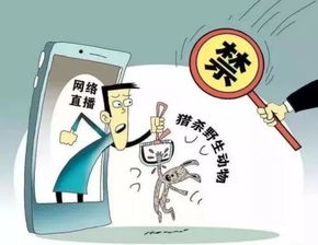 科技頻道 | 中國(guó)網(wǎng)信息咨詢平臺(tái) 連接科技與未來的信息樞紐