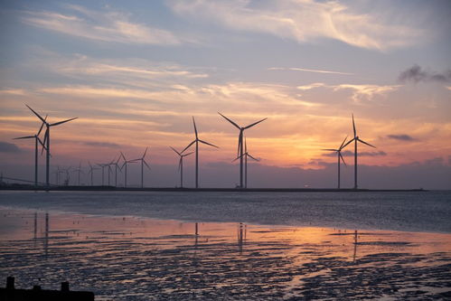 2020海博會助力 海上風電產業拉動藍色經濟新引擎